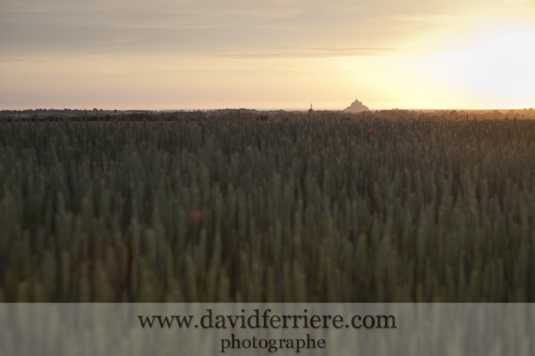 Mont Saint Michel depuis Pontorson mont saint michel à travers champs
