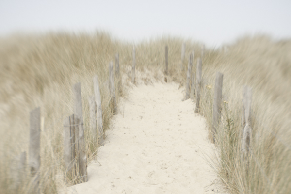 20110710-david-ferriere-blog-cancale-lensbaby-11